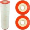 Filbur - CARTRIDGE 10 1/16" X 31 1/8" 150 SQ FT 25005 C9415 PAP150 FC0687-4 AMERICAN PUREX PREDATOR CLEAN & CLEAR 59054300 R173216 -Hayward Shop 8 150 SQ FT 25005 C9415 PAP150 FC0687 4 AMERICAN PUREX PREDATOR CLEAN CLEAR 59054300 R173216