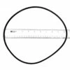 Zodiac - Backplate O-Ring 2 Zodiac - Backplate O-Ring -Hayward Shop Backplate O Ring