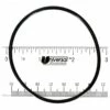 Pentair - Bulkhead O-Ring (prior To 2004) -Hayward Shop Bulkhead O Ring prior to 2004