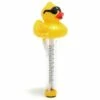 G.A.M.E. - Derby Duck Pool And Spa Thermometer