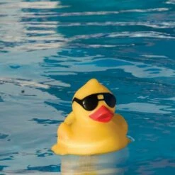 G.A.M.E. - Derby Duck Pool And Spa Thermometer 12 G.A.M.E. - Derby Duck Pool And Spa Thermometer -Hayward Shop Derby Duck Pool and Spa Thermometer 4