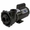 Waterway - Executive 56 3721621-1D 4HP 56 FR Dual-Speed Spa Pump 230V -Hayward Shop Executive 56 3721621 1D 4HP 56 FR Dual Speed Spa Pump 230V