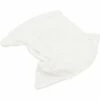 Maytronics - Filter Bag -Hayward Shop Filter Bag