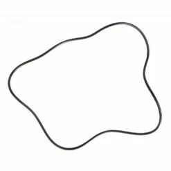 Hayward - Header O-Ring -Hayward Shop Header O Ring 1