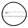 Pentair - O-Ring, Valve Body