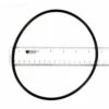Polaris - O-ring, Backplate -Hayward Shop O ring backplate