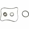 Hayward - Seal Assembly Kit For Super Pump -Hayward Shop Seal Assembly Kit for Super Pump