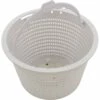 CMP - Skimmer Basket Generic Replacement For B-9, Hayward SP1070 1 CMP - Skimmer Basket Generic Replacement For B-9, Hayward SP1070 -Hayward Shop Skimmer Basket Generic Replacement for B 9 Hayward SP1070